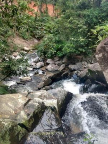 Imagem 13 de 19 de Sítio Em Itariri, Com 242.000 M² De Área Total E Com Diversas Árvores Frutíferas, 05 Nascentes E Riacho Com Pequena Cachoeira, Analisa Veículo Como Parte De Pagamento Ref: 7269/ac