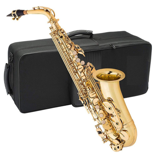 Imagen 1 de 3 de Saxofon Alto Conductor Estuche Alta Calidad Para Estudio 