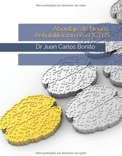 Libro:abordaje De Neuro-rehabilitación En El Ictus (spanish