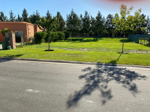 Terreno Lote En Venta Ubicado En San Gabriel, Villanueva, Tigre