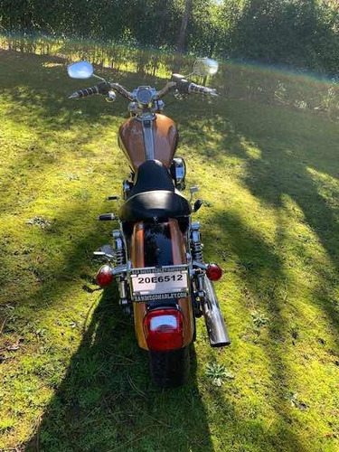 Imagen 4 de 6 de Harley Davidson - Sportster 1200xl 105th Anniversary Edition