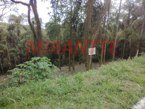 Imagem 2 de 4 de Terreno Em Serra Da Cantareira - Mairiporã, Sp - 365135