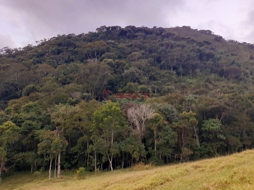 Imagem 25 de 30 de Fazenda Com 1milhão De M² No Vale Alpino. - Fa00024 - 69449575