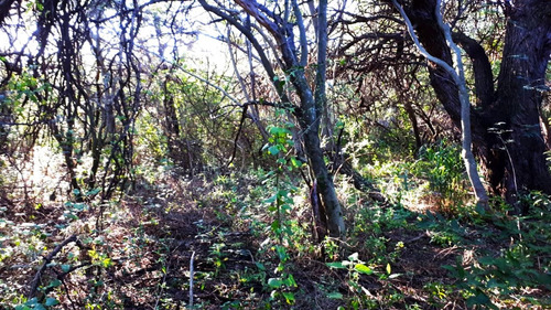 Lote En Venta En San Marcos Sierras - Barrio Las Gramillas