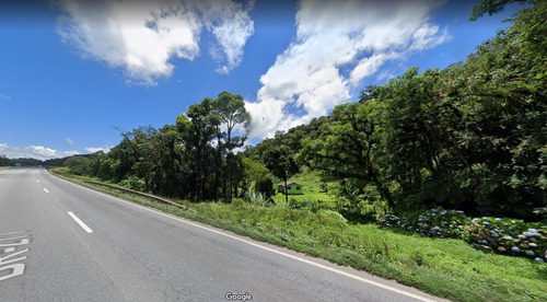 Imagem 3 de 3 de Sítio / Chácara Para Venda Em São José Dos Pinhais, Parque Da Fonte - 159_2-1609043