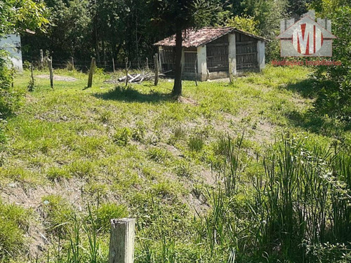 Imagem 20 de 25 de Chácara Com 2 Dormitórios, Córrego, Pomar, Bem Localizada, Apenas 200 Metros Do Asfalto, À Venda, 5446 M² Por R$ 200.000 - Monte Alegre Do Sul/sp - Ch1134