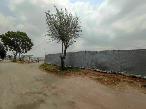 Imagen 11 de 12 de Terreno En Renta En Sanctorum