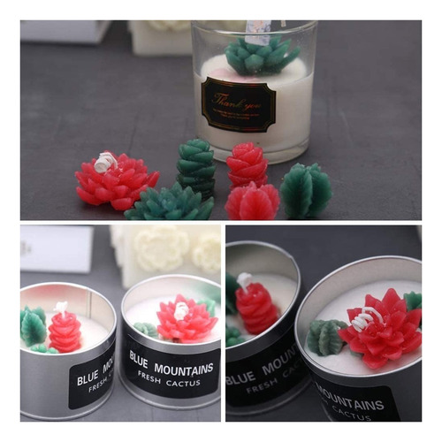6 Moldes De Silicone Suculentos E Moldes De Resina De Flor D