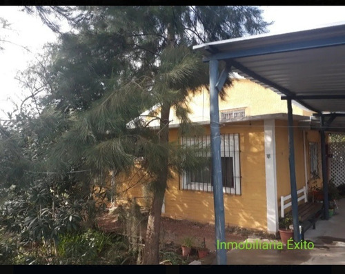 Imagen 5 de 14 de Se Vende Casa En Neptunia Norte. Terreno 1.000m2 Si Titulos