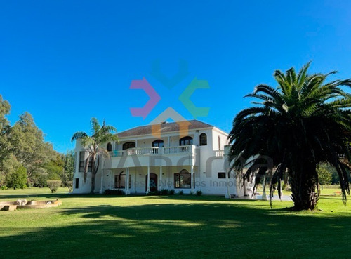 Imagen 7 de 25 de Venta / Oportunidad Imponente Chacra En Estancia San Pablo S. Miguel Del Monte