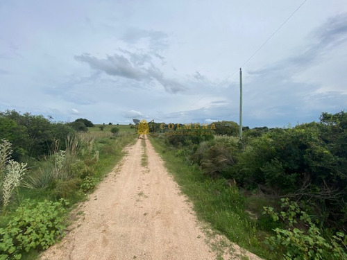 Campo En Garzon - Ideal Para Uso De Descanso - Consulte!!!!- Ref: 3606