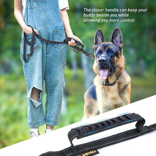Aubell Heavy Duty Dog Leash, Correas Reflectantes Para Pe...