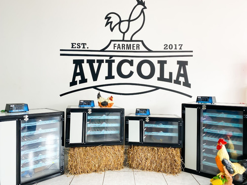 Imagen 9 de 9 de Incubadora De Pollos 240 Huevos Automática Rodillos Expertos