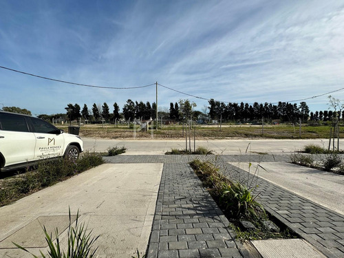 Casa En Venta En Santa Ana Villanueva