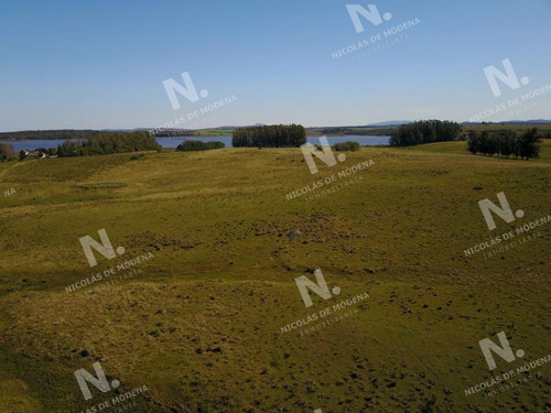 Imagen 10 de 14 de Chacra En Venta Laguna Del Sauce - Punta Ballena Laguna Del Sauce