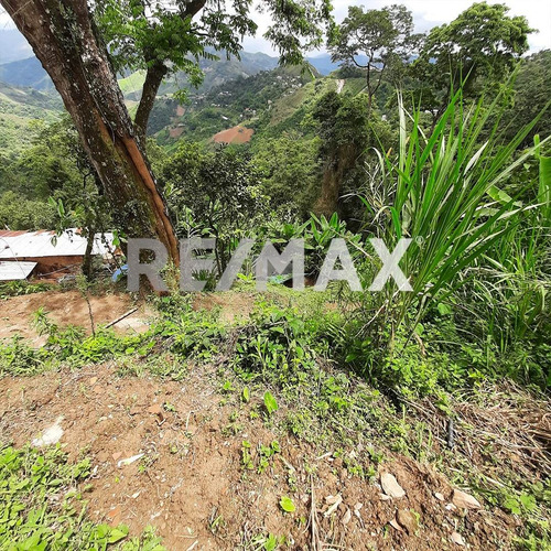 Imagen 5 de 6 de En Venta Terreno Ubicado En San Diego De Los Altos
