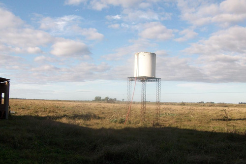 Imagen 21 de 30 de Campo En Venta En Arditti | Ruta 11-km.57 (110 Has)