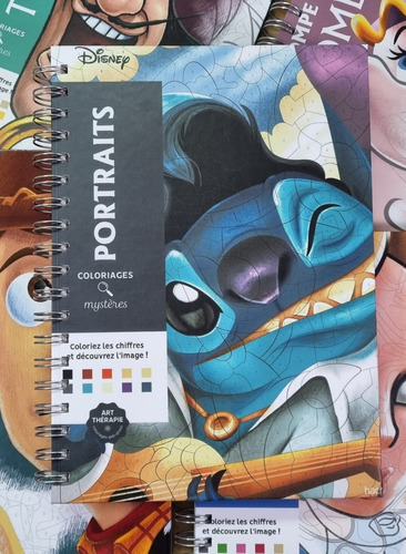 Libro Colorear Potraits Stitch 18 X 25 