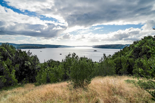 Oportunidad Parcela Vista Al Mar Isla Tranqui Chiloé