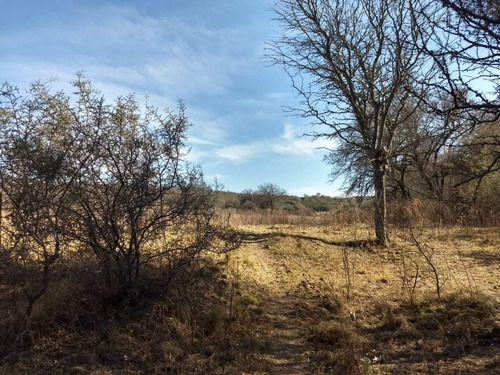 Imagen 17 de 17 de Campo De 100 Hectareas Con Casa En Tulumba, Provincia De Cordoba