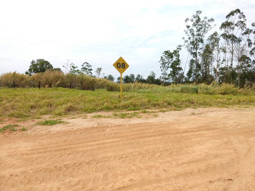 Imagem 18 de 26 de More Pertinho Da Natureza E A 10 Minutos Do Centro Da Cidade, Park Gran Reserve Excelente Investimento !!! - Tr01872 - 34602552