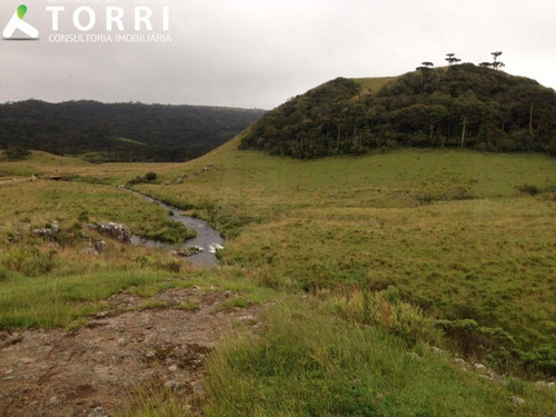 Imagem 13 de 15 de Fazenda E Pousada Em Andaraí, Ba - Fa00063 - 68129381