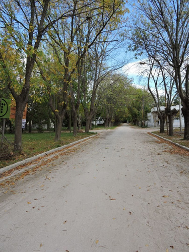 Imagen 4 de 7 de Lote En Pipinas