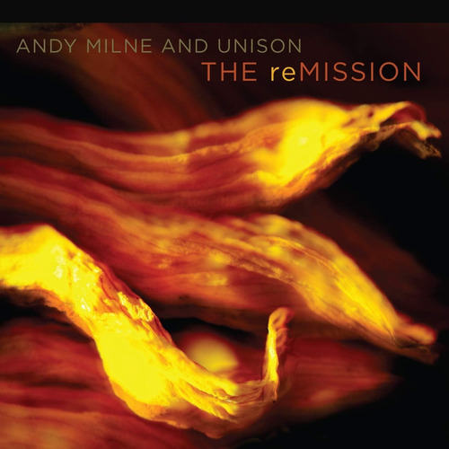 Cd: Milne Andy / Unison The Remissiion Usa Import Cd