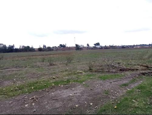 Imagen 9 de 13 de Agrícola En Venta En Chillán