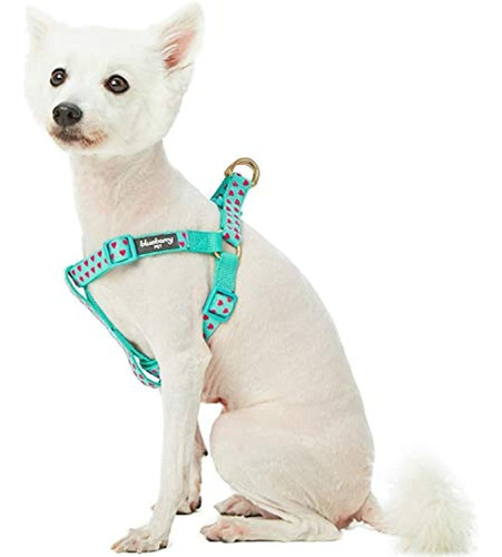 Blueberry Pet 20 Diseña Los Collares Para Perros De Diseño M