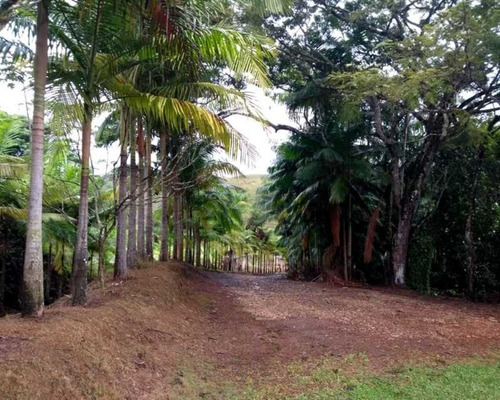 Imagem 2 de 30 de Fazenda - 0132 - 32820420