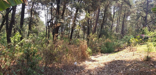 Imagen 24 de 28 de Casa En Venta En Circuito Avándaro, Valle De Bravo