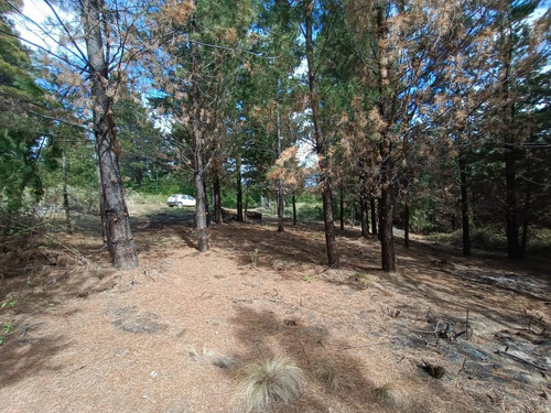 Imagen 3 de 12 de Terreno - Epuyen