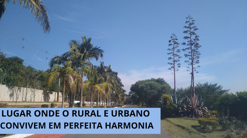 Imagem 6 de 14 de Terreno 5.790 Mts Condomínio Tradicional / Asfalto Na Porta