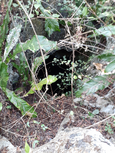 Terreno Con Cenote En Venta En Xtut, Valladolid Yucatán