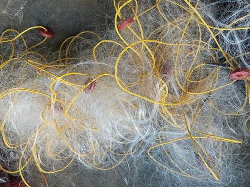 Trasmallo Para Mojarra Tilapia De 4m Alto Por 30 M Largo (Usado)