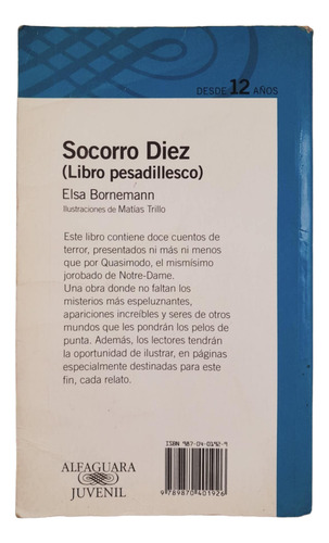 Socorro Diez -libro Pesadillesco- Elsa Bornemann - Alfaguara (Usado)