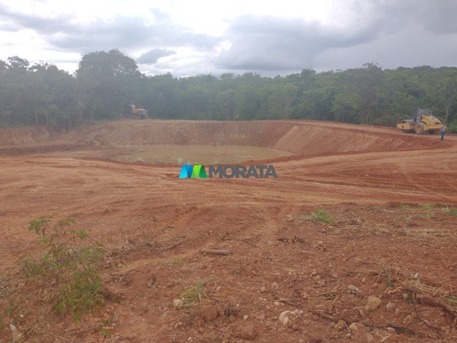 Imagem 6 de 7 de Fazenda - Zona Rural - Ref: 5072 - V-mta5072
