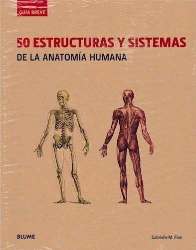 50 Estructuras Y Sistemas De La Anatomía Humana, De Gabrielle M. Finn. Editorial Blume, Tapa Blanda En Español