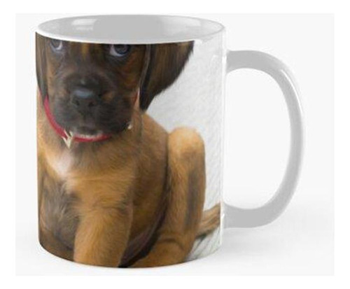 Taza Animales Cachorro Perros Adorable Lindo Fluffy Calidad 