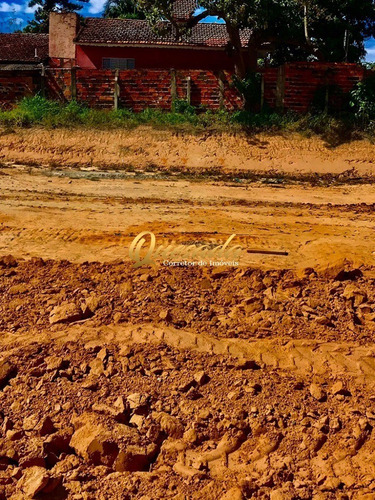Imagem 1 de 4 de Terreno - Te00368 - 70276807