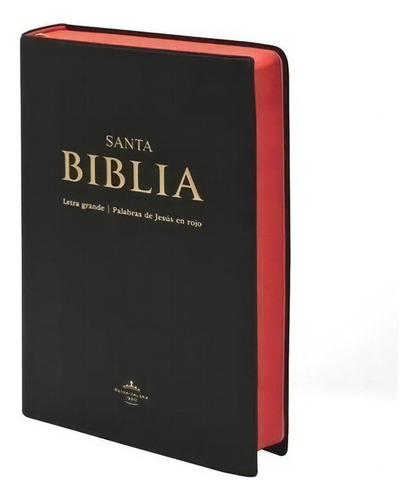 Biblia Letra Grande Concordancia Reina Valera 1960 