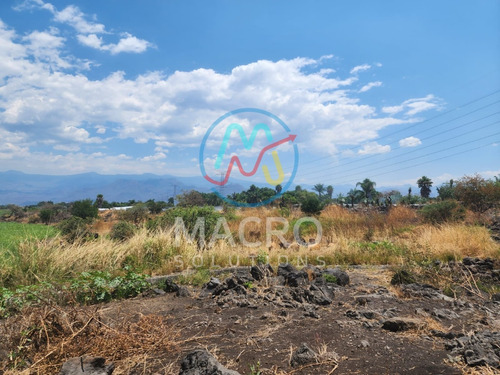 En Venta Amplio Terreno Plano Ideal Para Inversión En Cocoyoc Con Conexion A Servicios