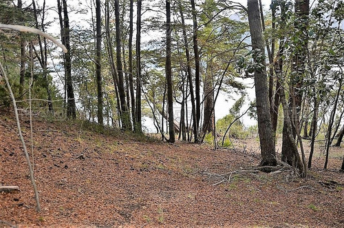 Terreno Fraccion En Venta Ubicado En Villa Lago Mascardi, Bariloche