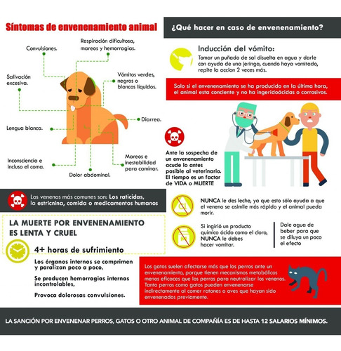Imagen 8 de 8 de Castraciones Económicas Perros/as, Gatos/as Y Conejos