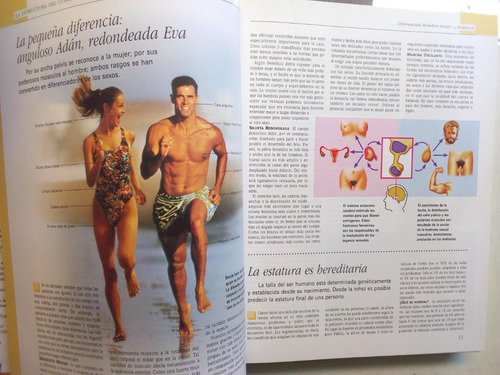 El Asombroso Cuerpo Humano - Reader's Digest (Usado)