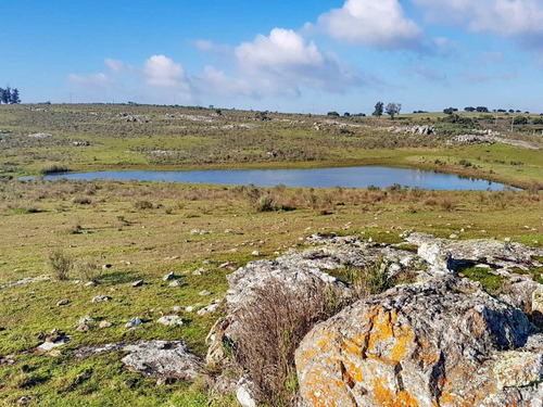 Venta De Chacra 5 Has En Ruta 9, Cerca De Pan De Azucar, Maldonado.- Ref: 19213
