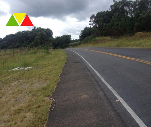 Imagem 10 de 11 de Área Industrial À Venda, Costeira, Araucária. - Ar00013 - 34982649