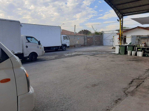 Vargas Fontecilla / Radal