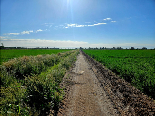Venta Finca 20 Hectareas Apto Pistachos Altos Del Olvido Mendoza